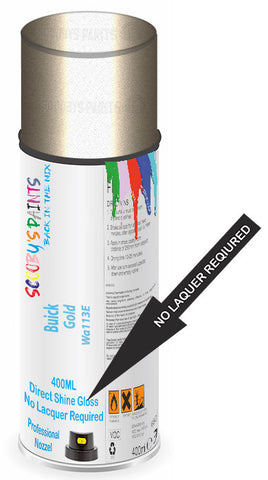 paint for Buick Century