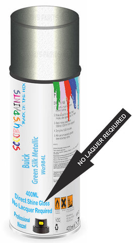 paint for Buick Lesabre