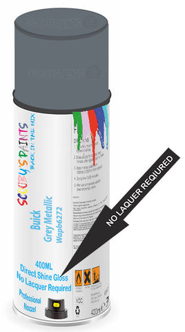paint for Buick Rainier