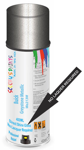 paint for Buick Rainier