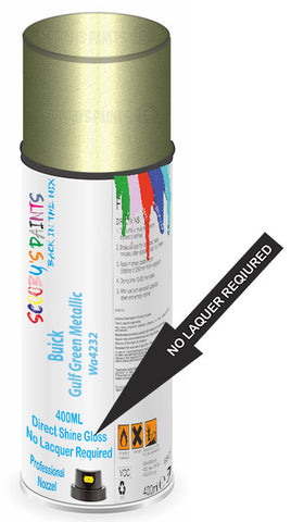 paint for Buick Skylark