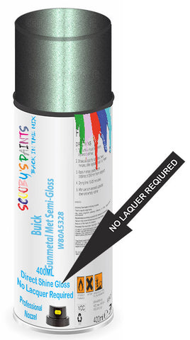 paint for Buick Lesabre