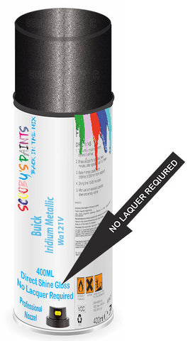 paint for Buick Enclave