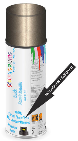 paint for Buick Enclave