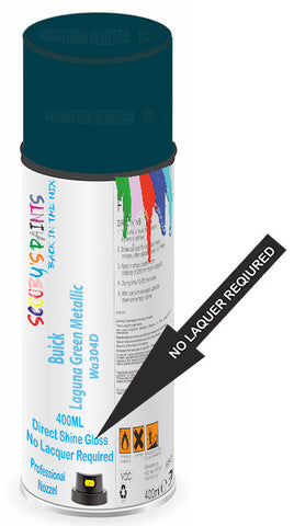paint for Buick Park Avenue