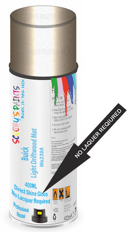 paint for Buick Rendezvous