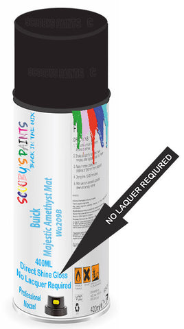 paint for Buick Rendezvous
