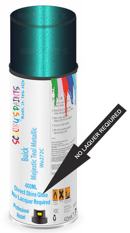 paint for Buick Park Avenue