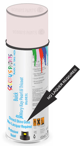 paint for Buick Allure