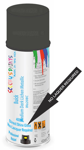 paint for Buick Riviera