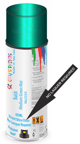 paint for Buick Century