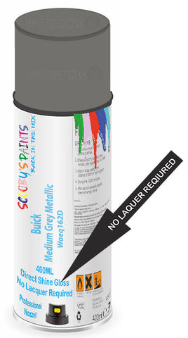 paint for Buick Century