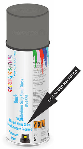 paint for Buick Lucerne