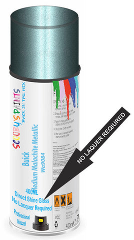 paint for Buick Skylark