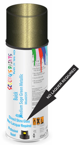 paint for Buick Rendezvous