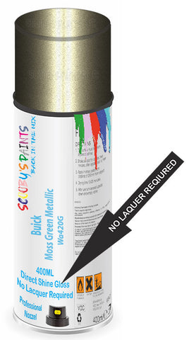 paint for Buick Rendezvous