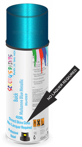 paint for Buick Skylark