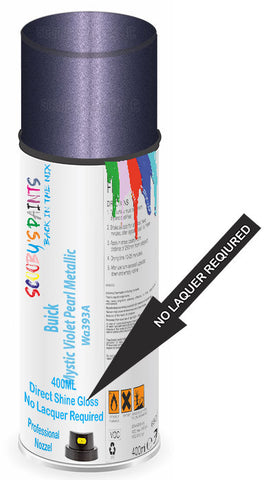paint for Buick Regal