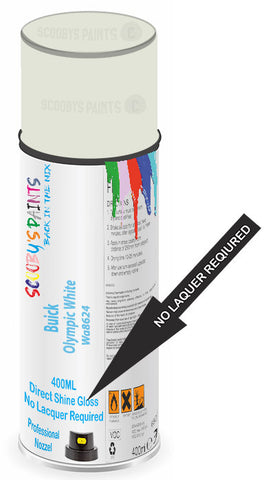 paint for Buick Verano