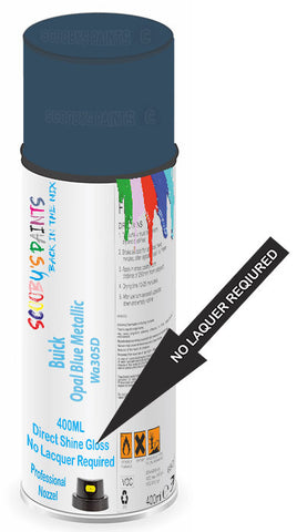 paint for Buick Skylark