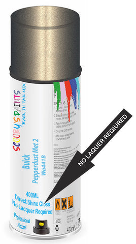 paint for Buick Enclave