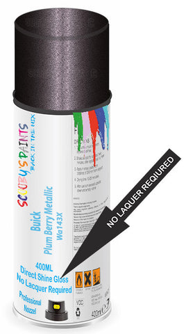 paint for Buick Envision