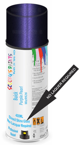 paint for Buick Park Avenue