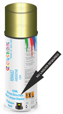 paint for Renault Megane Scenic Rx4