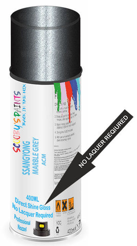 paint for Ssangyong Ssangyong