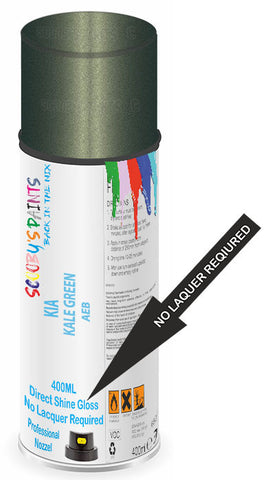 paint for Kia Carens