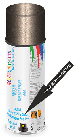 paint for Nissan Axxess