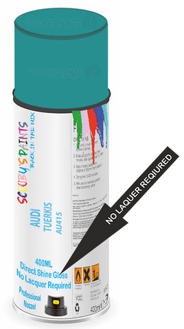 paint for AUDI A6/S6