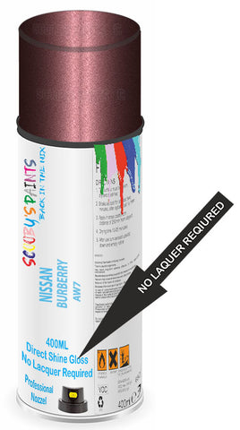 paint for Nissan Micra