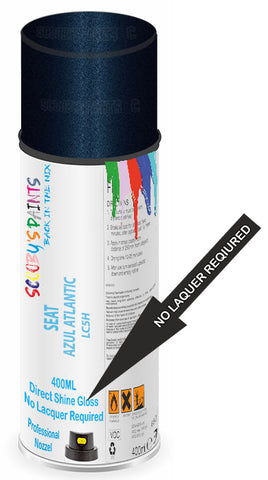 paint for Seat Mii