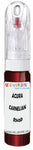 10ml–30ml touch-up kit for Acura Ilx chips and scratches, precise colour match to Carnelian Red Pearl R543P