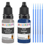 AUDI CORNFLOWER LY5M SOLID PRIMER