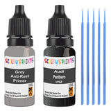 AUDI PANTHERO LY9Z EFFECT PRIMER