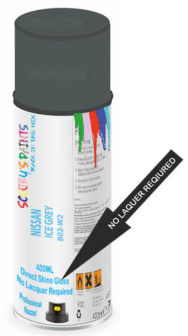 paint for Nissan X-Trail
