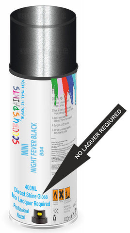 paint for Mini Cooper S