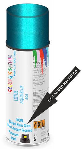 paint for LOTUS 