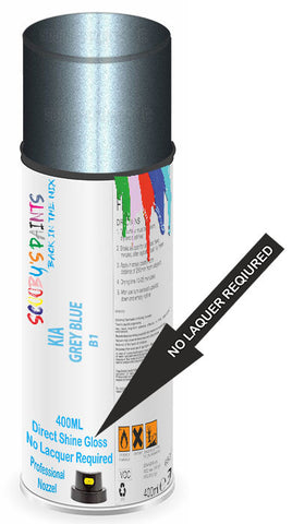 paint for Kia Carens