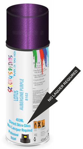 paint for Lotus Elise