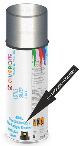 paint for Lotus Elise