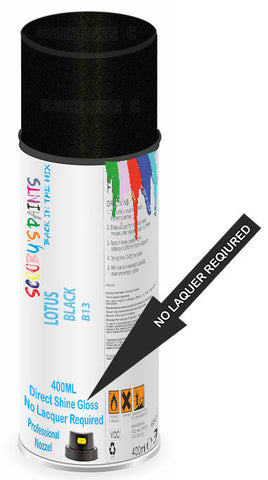 paint for LOTUS 