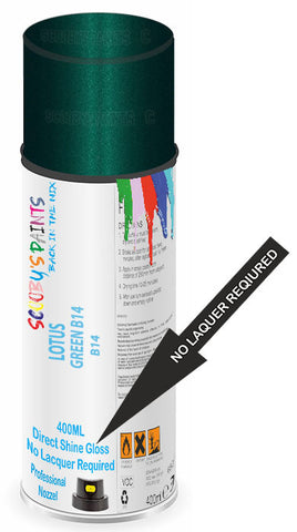 paint for LOTUS 