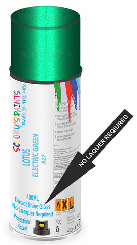 paint for LOTUS 