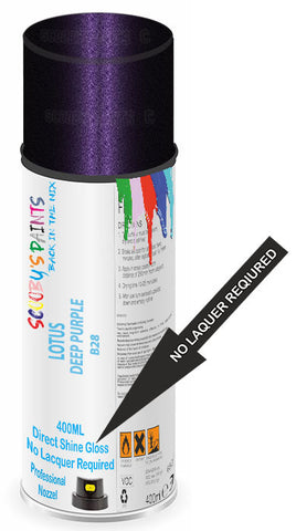 paint for Lotus Elise