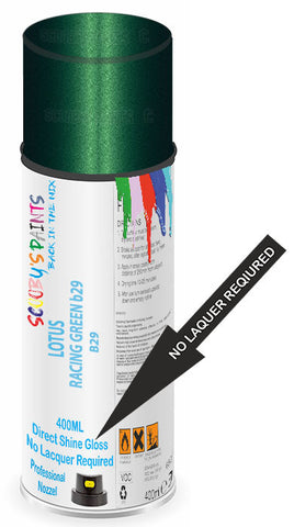 paint for LOTUS 