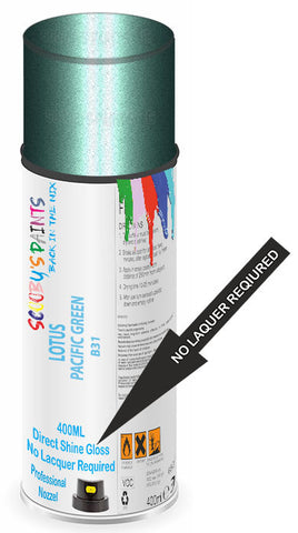 paint for LOTUS 