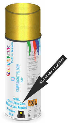 paint for Kia Seltos